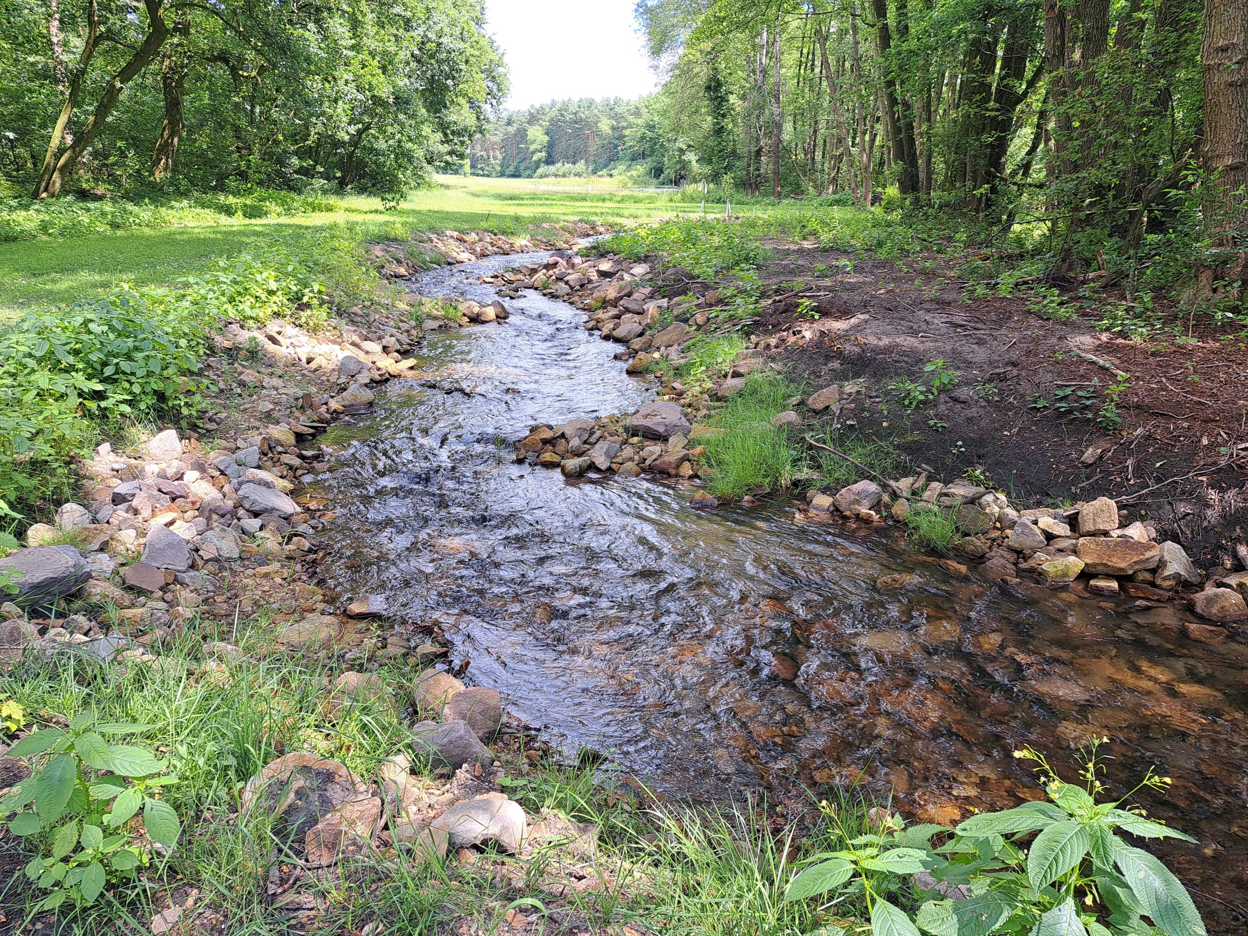 Hygon-Hochwasser-Informationswerte-Lagebereichte-WOL-NRW